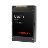SSD disk SanDisk SN670 33.72TB U.2 NVMe PCIe Gen5 x4 | SDS7B031THSA1Y7G
