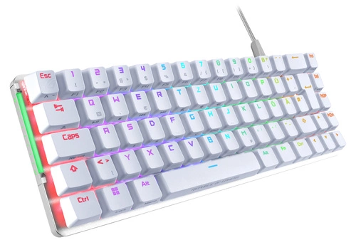 Wired keyboard Asus ROG Falchion Ace WHT QWERTZ