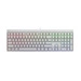 Wired keyboard Cherry MX 2.0S QWERTY