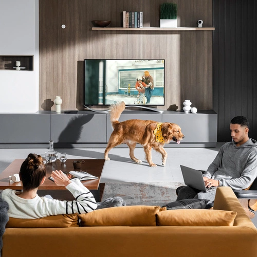 Smart Sensor Aqara Presence Sensor FP2 | PS-S02D